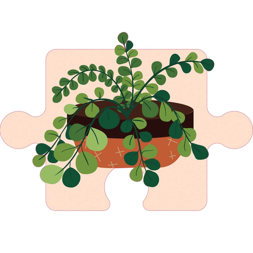 Sticker STEM, Științe Naturale - Biologie, set F3, 80 cm, sticker 2