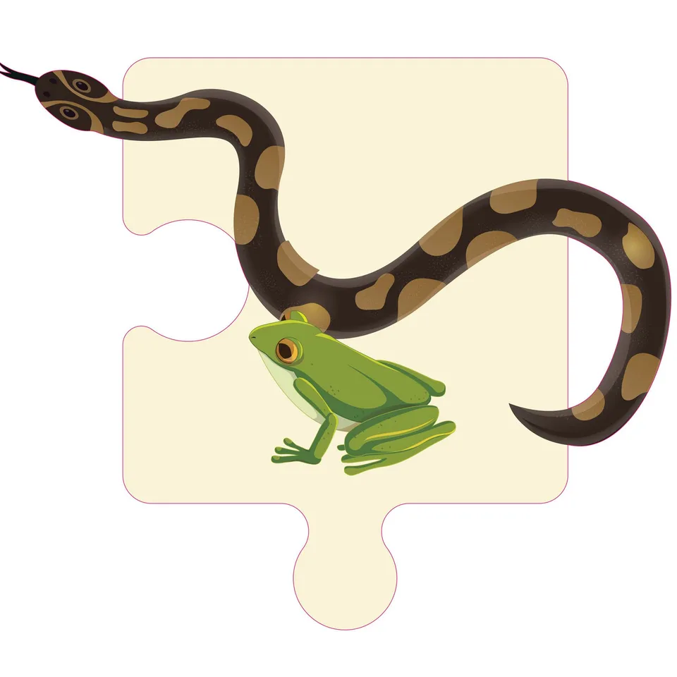 Autocolant STEM, Științe Naturale - Biologie, set F3, 80 cm, autocolant 3
