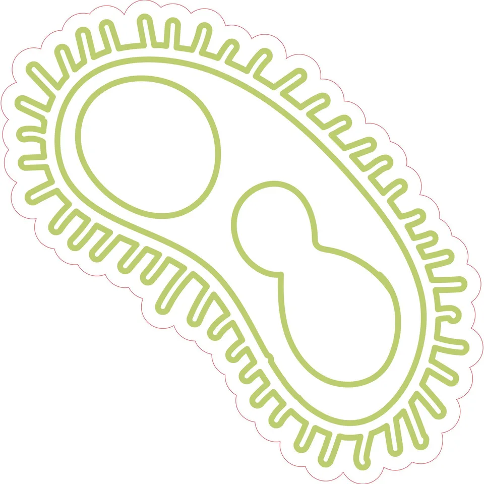 Sticker STEM, Științe Naturale - Biologie, Set F5, 80 cm, Sticker 6