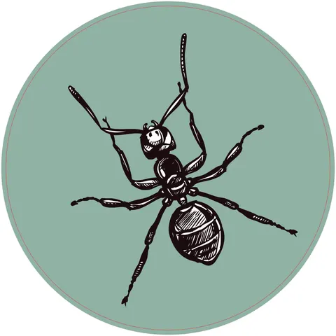 Sticker STEM, Științe Naturale - Biologie, set F6, 80 cm, sticker 2