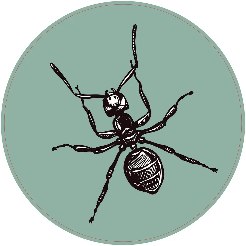 Sticker STEM, Științe Naturale - Biologie, set F6, 80 cm, sticker 2