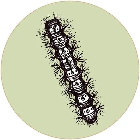 Sticker STEM, Științe Naturale - Biologie, set F6, 80 cm, sticker 6