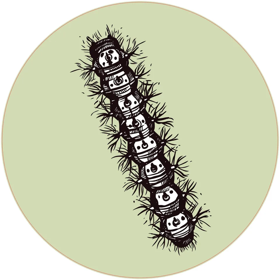 Sticker STEM, Științe Naturale - Biologie, set F6, 80 cm, sticker 6