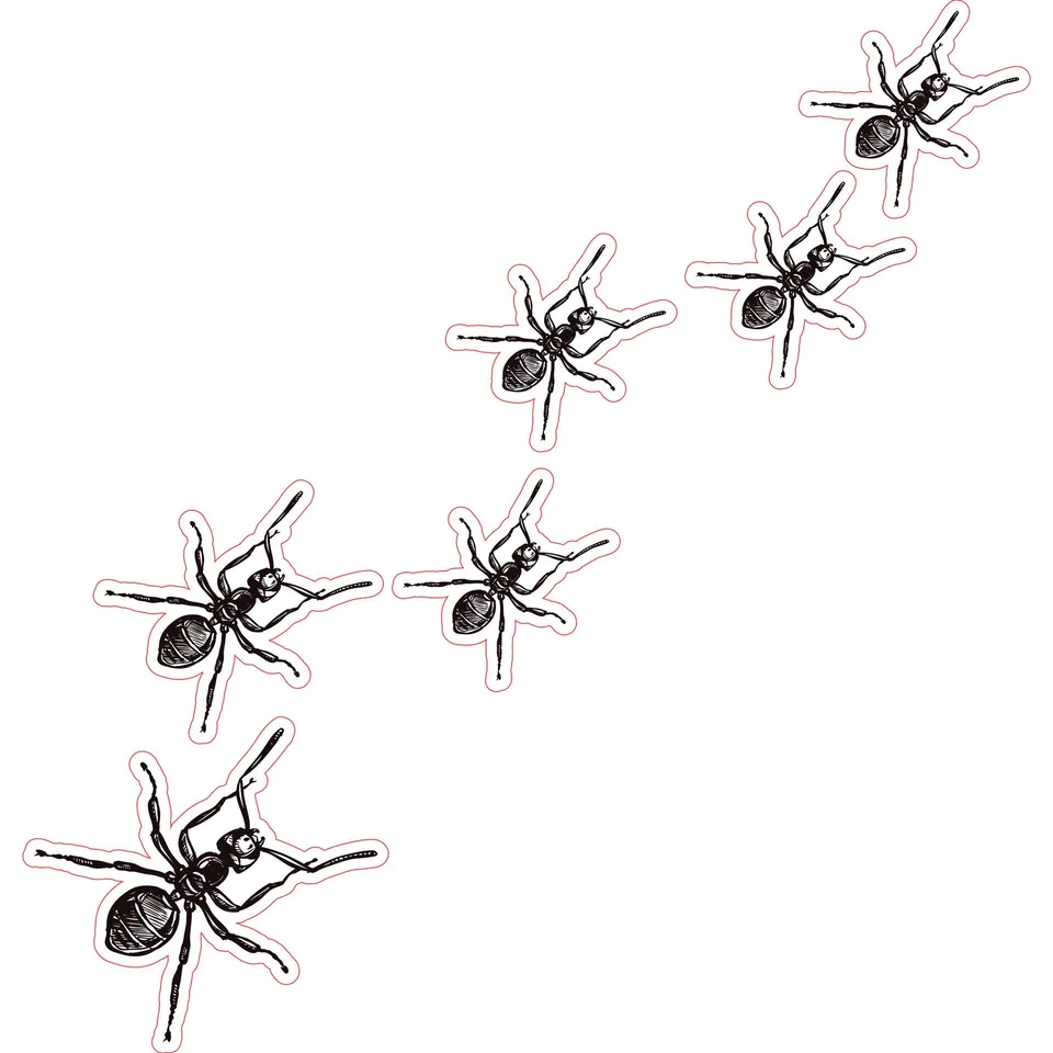 Abțibild STEM, Științe Naturale – Biologie, set F6, 80 cm, abțibild 10
