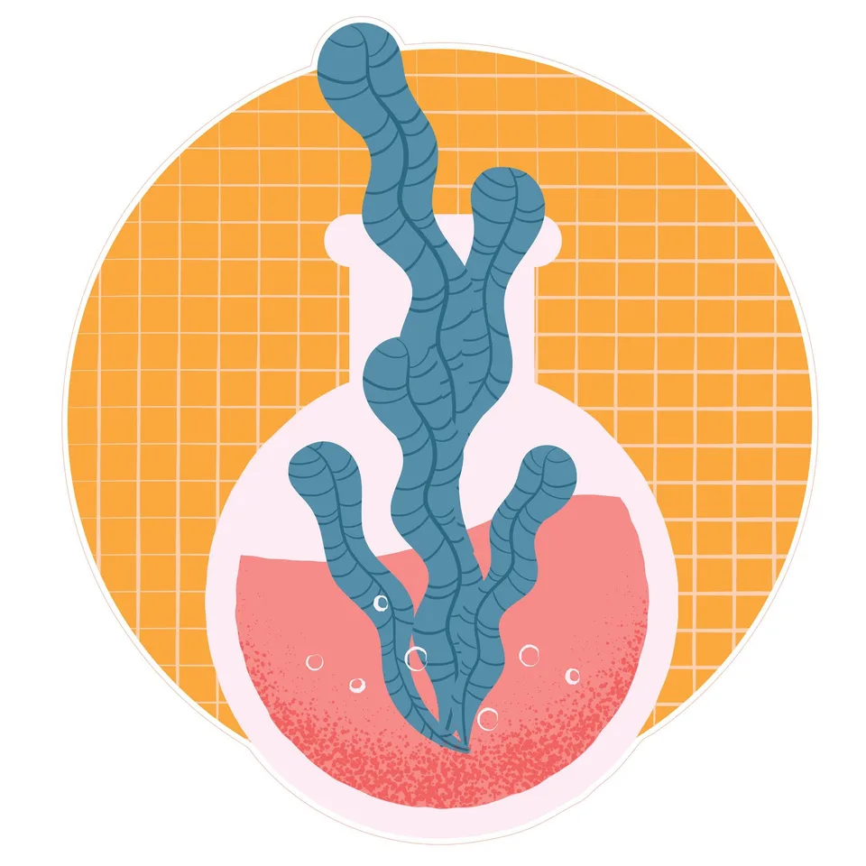Sticker STEM, Științe naturale - Biologie, set F7, 80 cm, sticker 1