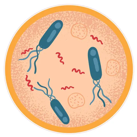 Sticker STEM, Științe naturale - Biologie, set F7, 80 cm, sticker 3