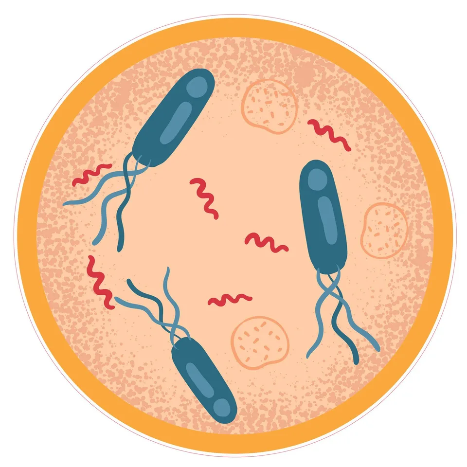 Sticker STEM, Științe naturale - Biologie, set F7, 80 cm, sticker 3