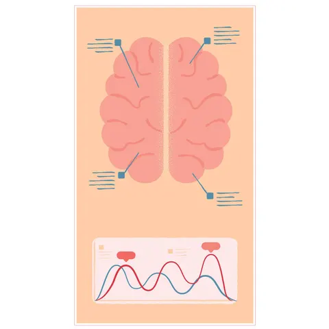 Sticker STEM, Științe Naturale – Biologie, set F7, 80 cm, sticker 9