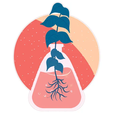 Sticker STEM, Științe Naturale - Biologie, Set F7, 80 cm, Sticker 10