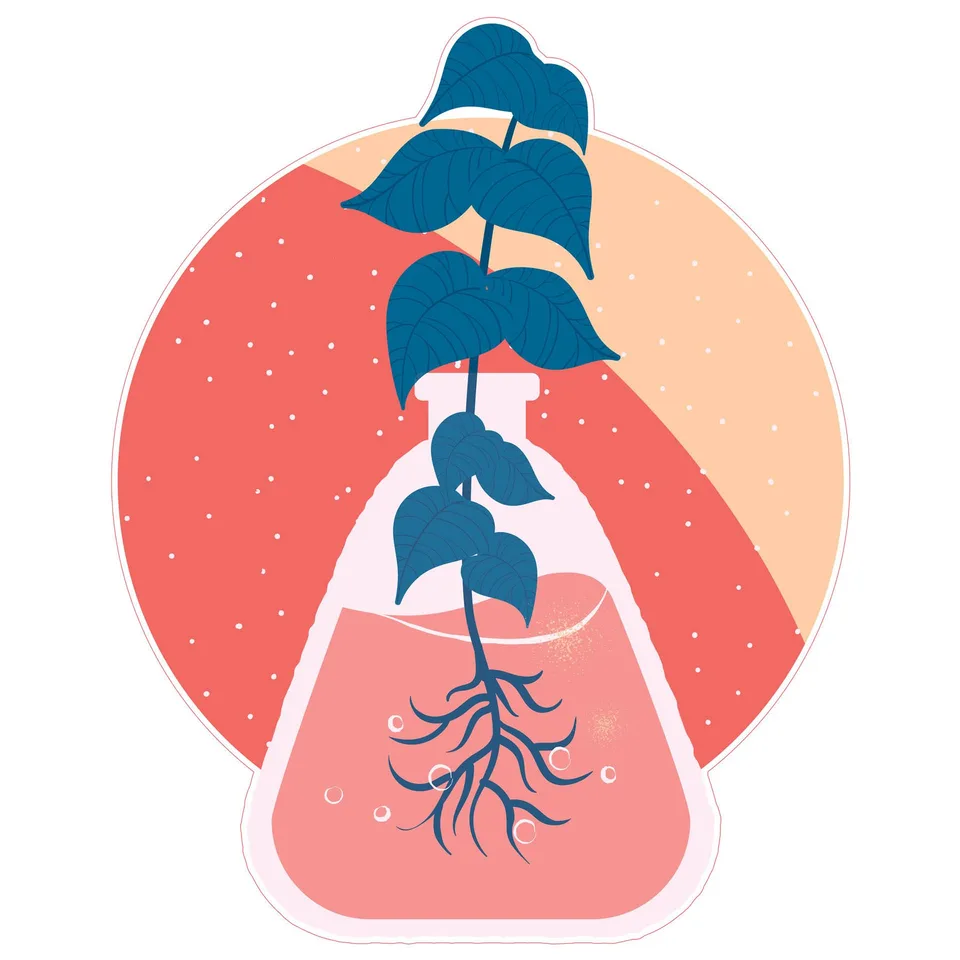 Sticker STEM, Științe Naturale - Biologie, Set F7, 80 cm, Sticker 10