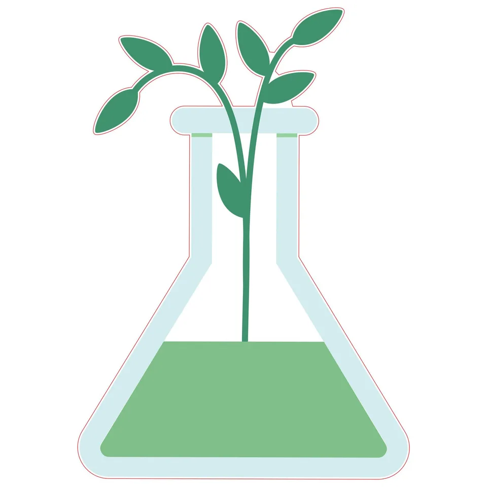 Autocolant STEM, Științe Naturale – Biologie, set F8, 80 cm, autocolant 1