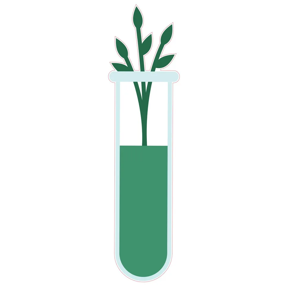 Autocolant STEM, Științe Naturale - Biologie, set F8, 80 cm, autocolant 2