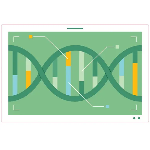 Sticker STEM, Științe naturale – Biologie, set F8, 80 cm, sticker 8