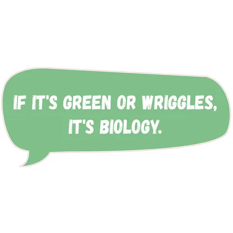 Sticker STEM, Științe Naturale – Biologie, set F8, 80 cm, sticker 10