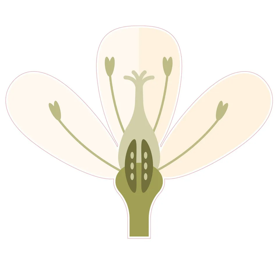 Sticker STEM, Științe ale naturii - Biologie, set F10, 80 cm, sticker 1