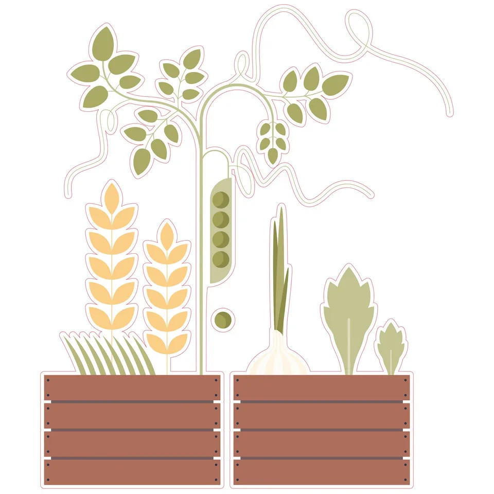 Sticker STEM, Științe ale naturii - Biologie, set F10, 80 cm, sticker 3