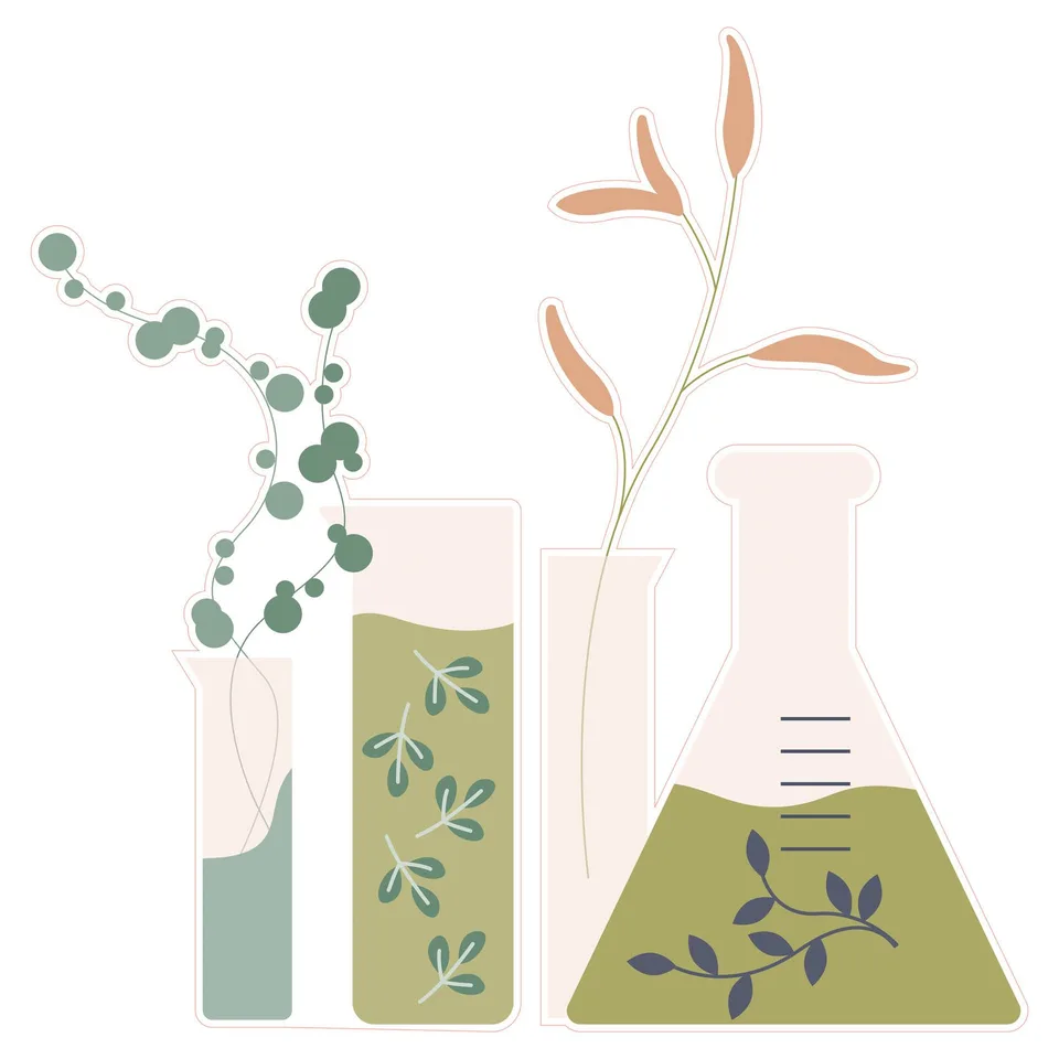 Sticker STEM, Științe ale naturii - Biologie, set F10, 80 cm, sticker 4