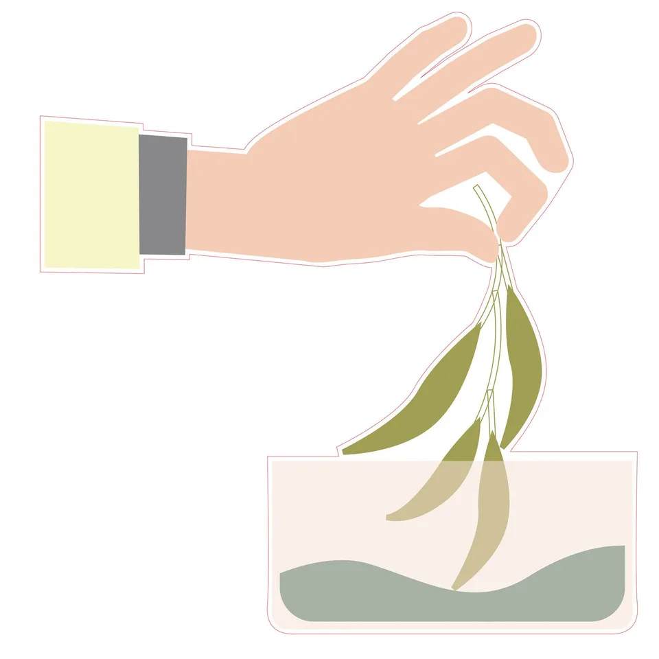 Sticker STEM, Științe ale naturii - Biologie, set F10, 80 cm, sticker 7
