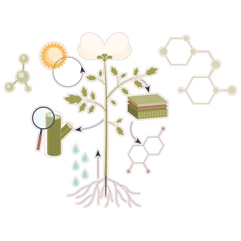 Sticker STEM, Științe ale naturii - Biologie, set F10, 80 cm, sticker 10