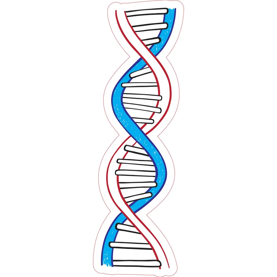 Sticker STEM, Stiinte ale naturii – Chimie, set H5, 80 cm, sticker 1