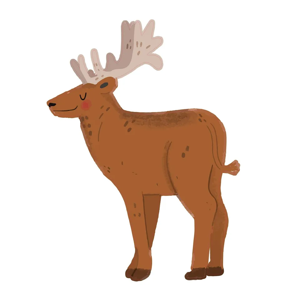 Sticker STEM, Pentru cei mici, set P2, 80 cm, sticker 3