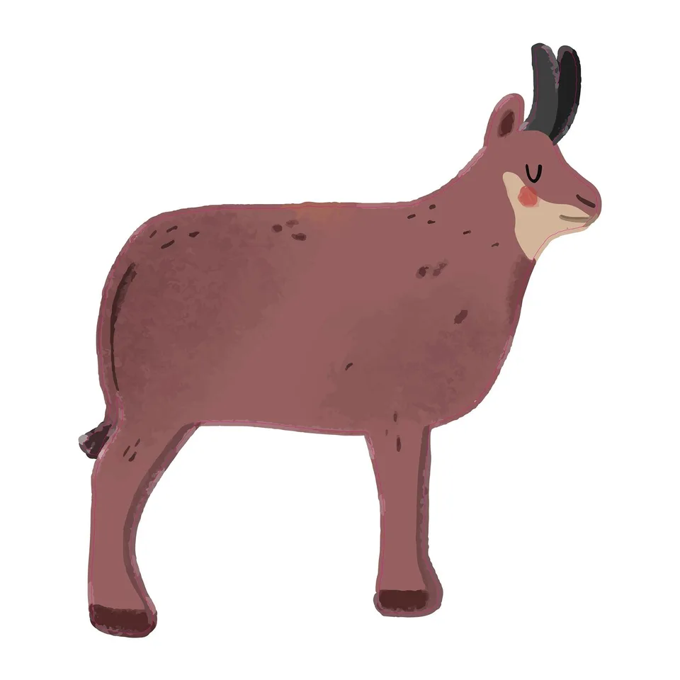 Sticker STEM, Pentru cei mici, set P2, 80 cm, sticker 6