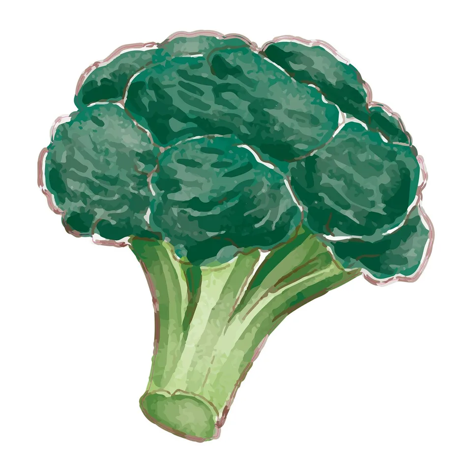Sticker STEM, Pentru cei mici, set P5, 80 cm, sticker 8