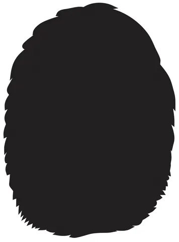 Sticker STEM, Sală de arte digitale, set B6, 100 cm, sticker 8