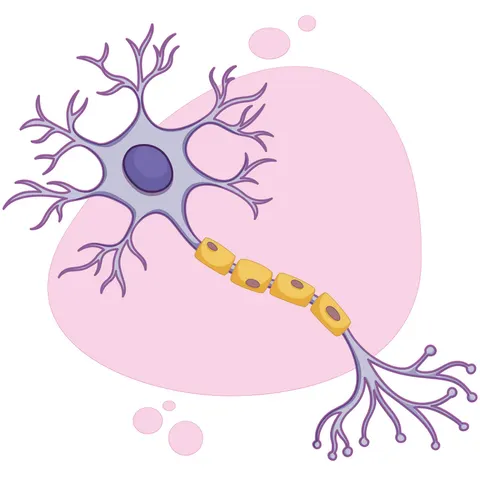 Sticker STEM, Științe ale Naturii - Biologie, Set F2, 100 cm, Sticker 5