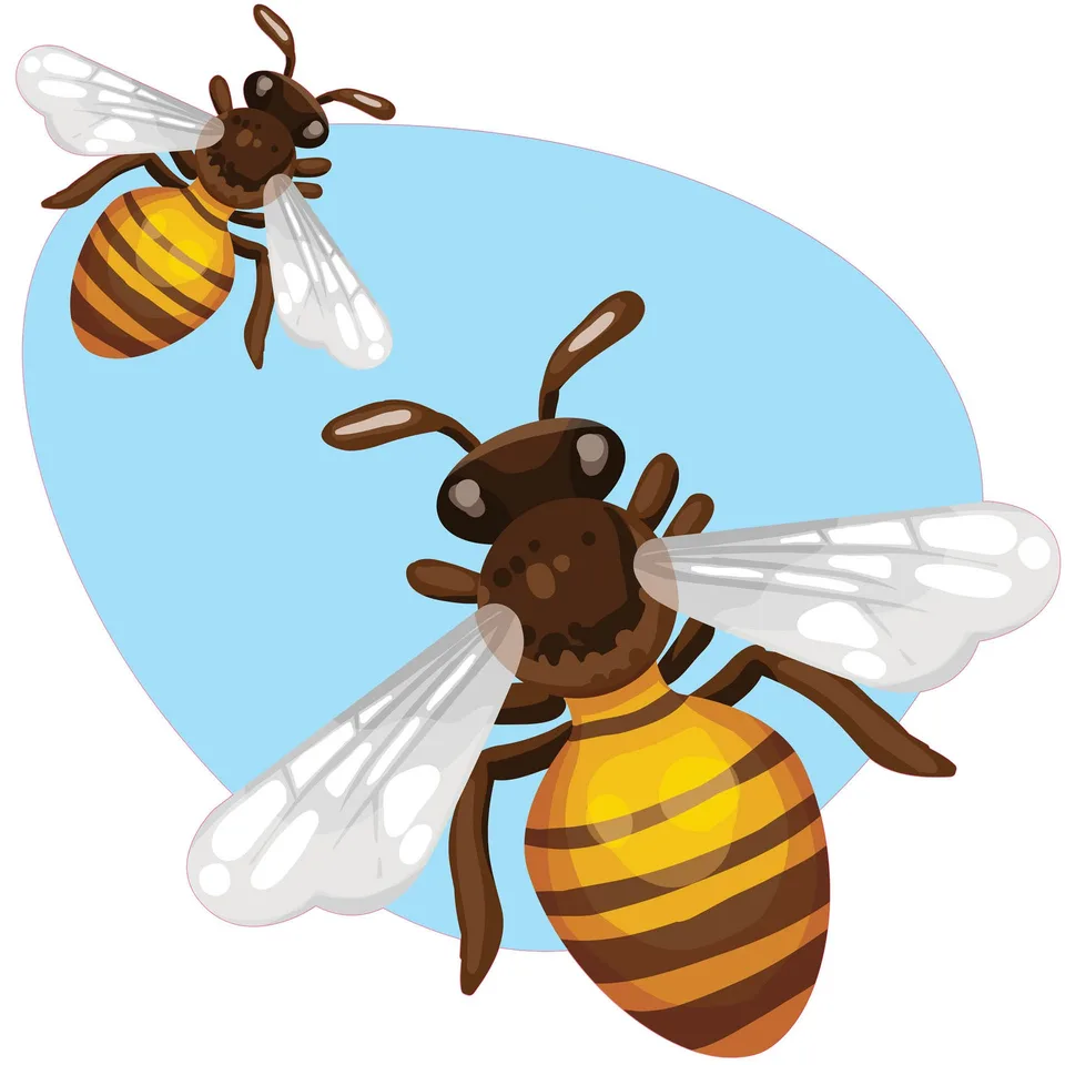 Sticker STEM, Științe ale Naturii - Biologie, set F2, 100 cm, sticker 8