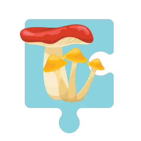 Sticker STEM, Științe ale Naturii - Biologie, set F3, 100 cm, sticker 1