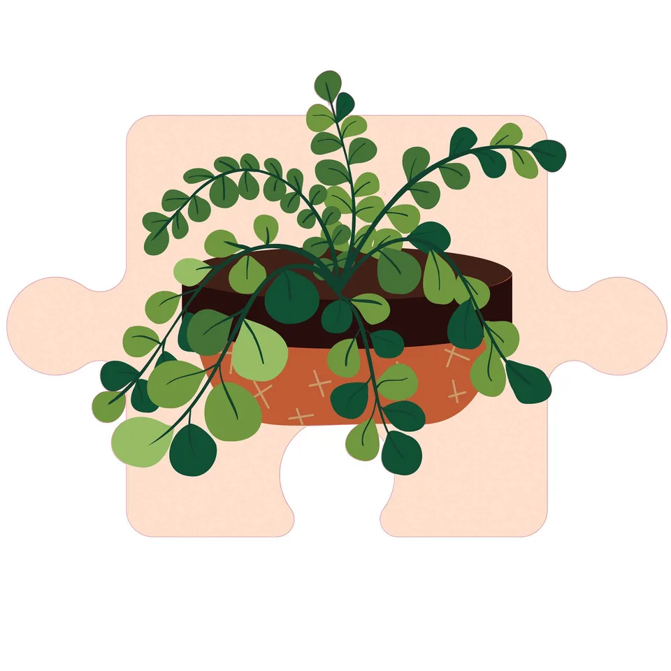 Sticker STEM, Științe ale Naturii - Biologie, set F3, 100 cm, sticker 2