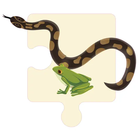Sticker STEM, Științe ale Naturii – Biologie, set F3, 100 cm, sticker 3