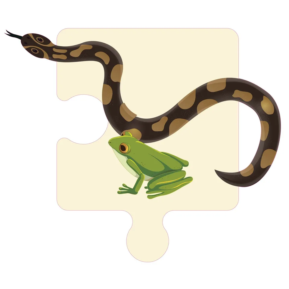 Sticker STEM, Științe ale Naturii – Biologie, set F3, 100 cm, sticker 3