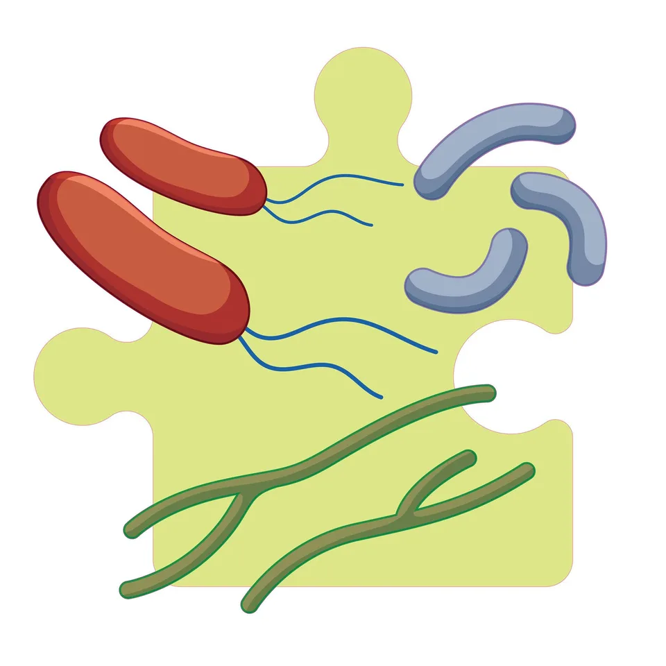 Sticker STEM, Științe ale Naturii – Biologie, set F3, 100 cm, sticker 5