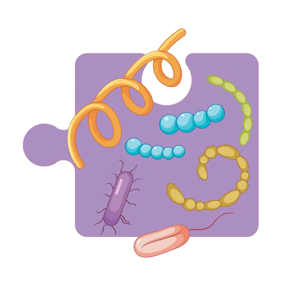 Sticker STEM, Științe ale Naturii - Biologie, Set F3, 100 cm, Sticker 6