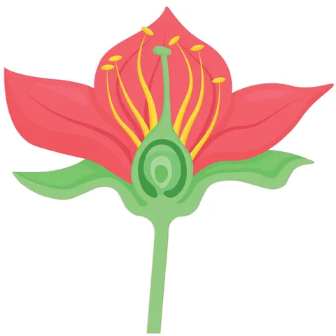 Sticker STEM, Științe ale Naturii - Biologie, Set F3, 100 cm, Sticker 7