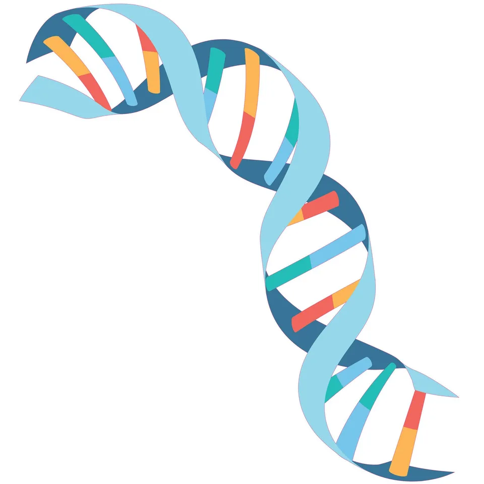 Sticker STEM, Științe ale Naturii – Biologie, set F3, 100 cm, sticker 9