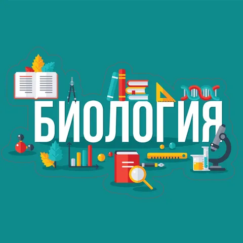 Sticker STEM, Științe ale Naturii – Biologie, set F4, 100 cm, sticker 11