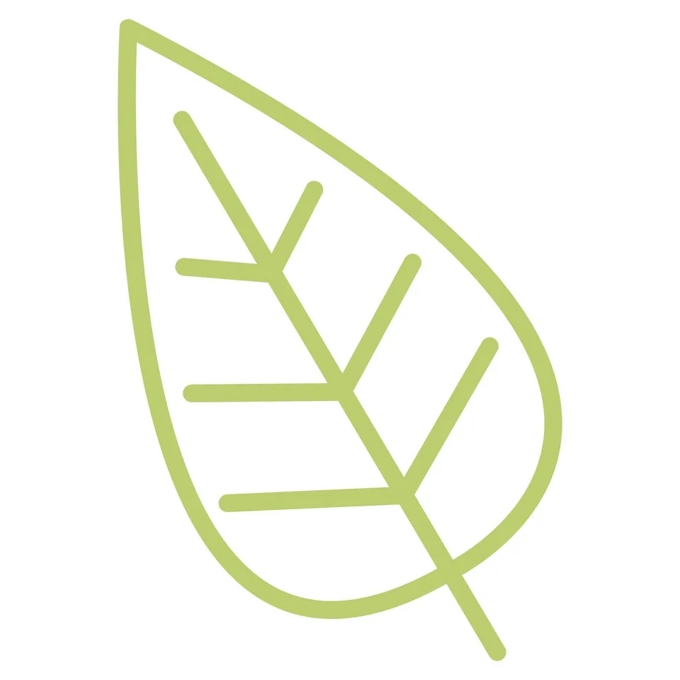 Sticker STEM, Științe ale Naturii – Biologie, set F5, 100 cm, sticker 5