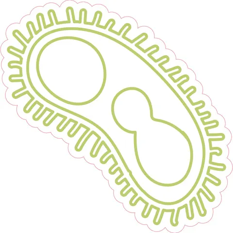 Sticker STEM, Științe ale Naturii – Biologie, set F5, 100 cm, sticker 6