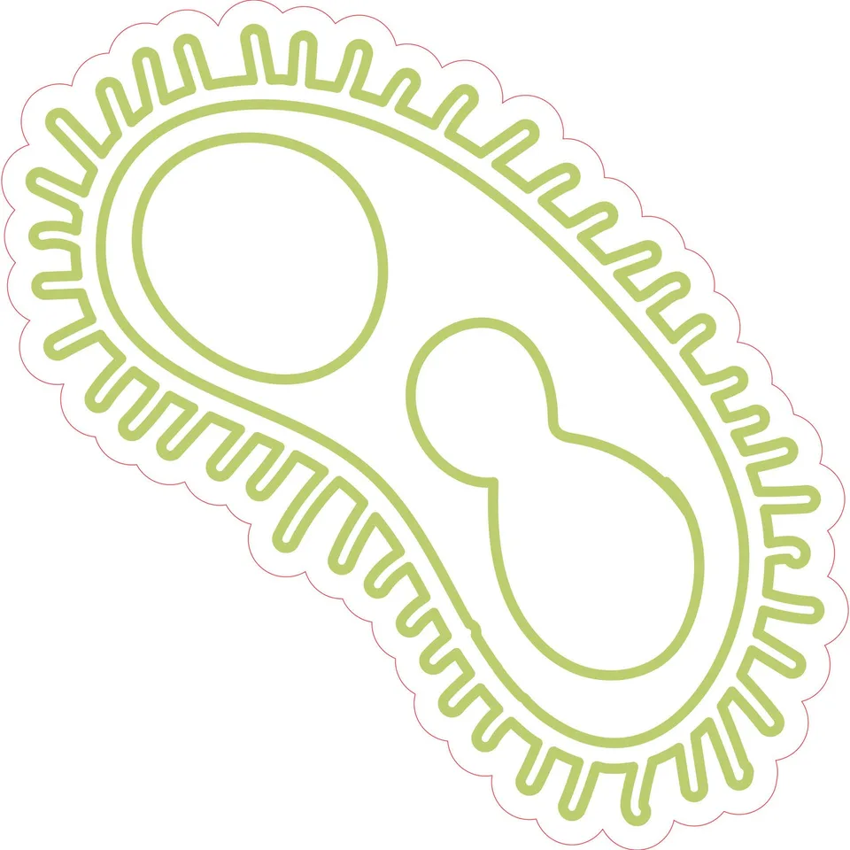 Sticker STEM, Științe ale Naturii – Biologie, set F5, 100 cm, sticker 6