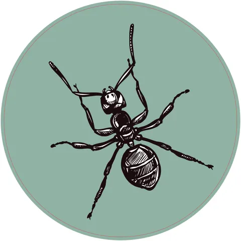 Autocolant STEM, Științe ale naturii – Biologie, set F6, 100 cm, autocolant 2