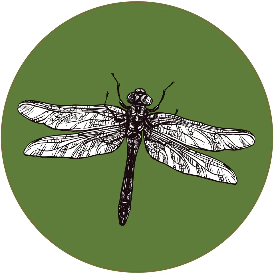 Autocolant STEM, Științe ale naturii - Biologie, set F6, 100 cm, autocolant 7