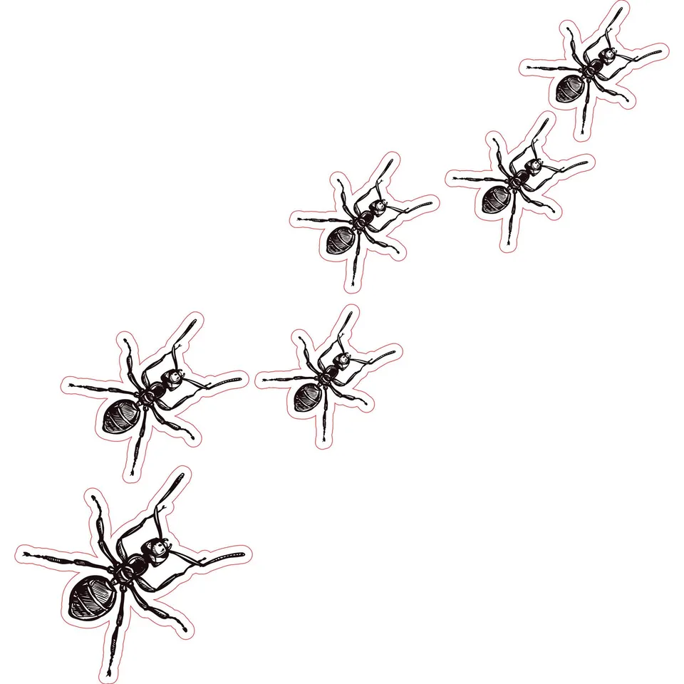 Autocolant STEM, Științe ale naturii - Biologie, set F6, 100 cm, autocolant 10