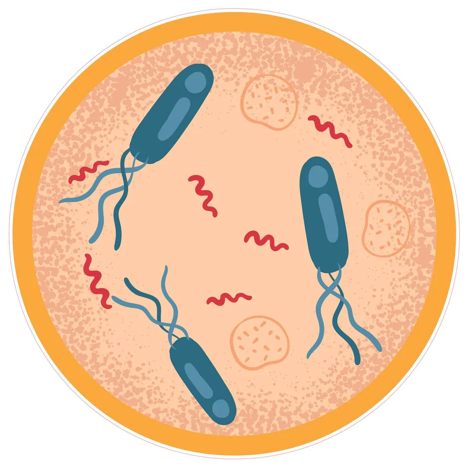 Autocolant STEM, Științe ale naturii - Biologie, set F7, 100 cm, autocolant 3