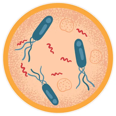 Autocolant STEM, Științe ale naturii - Biologie, set F7, 100 cm, autocolant 3