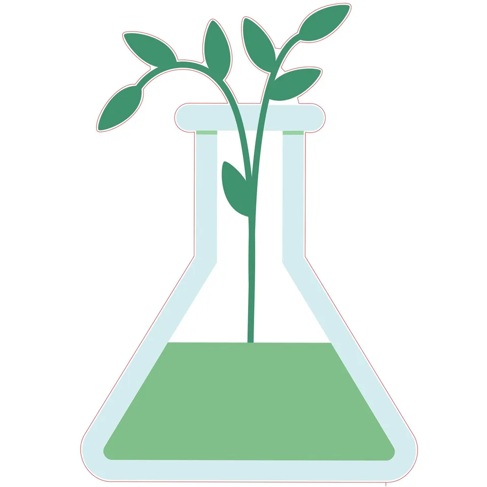 Autocolant STEM, Științe ale naturii – Biologie, set F8, 100 cm, autocolant 1