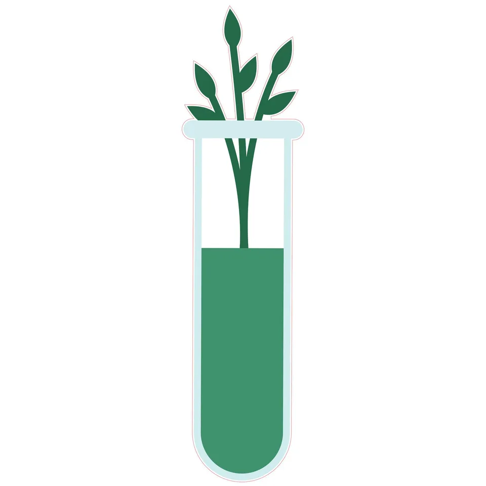 Autocolant STEM, Științe ale naturii – Biologie, set F8, 100 cm, autocolant 2