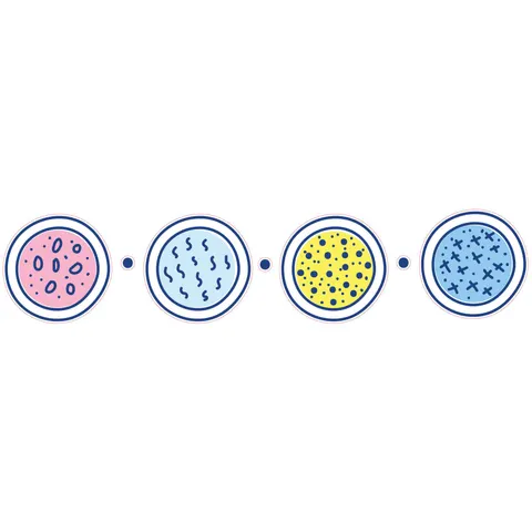 Sticker STEM, Științe ale naturii - Chimie, set H1, 100 cm, sticker 9